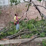 RACHAS DE VIENTO GENERAN AFECTACIONES EN LA CIUDAD; PROTECCIÓN CIVIL ATIENDE 10 EMERGENCIAS