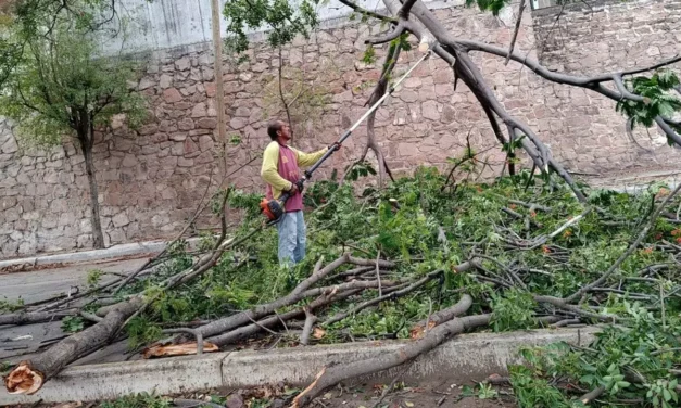 RACHAS DE VIENTO GENERAN AFECTACIONES EN LA CIUDAD; PROTECCIÓN CIVIL ATIENDE 10 EMERGENCIAS