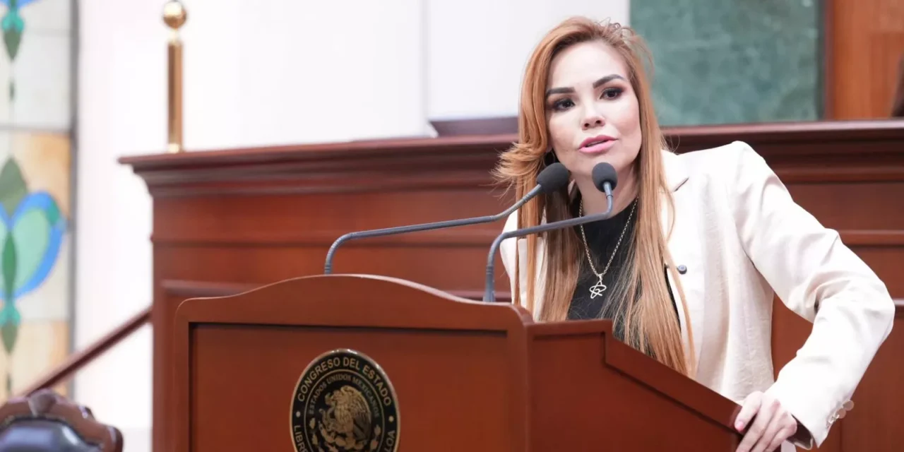 PROPONDRÁ PAOLA GÁRATE SANCIONAR POR LEY LAS PRECAMPAÑAS ANTICIPADAS DISFRAZADAS DE «COORDINACIONES”