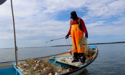 GOBIERNO DE SINALOA FORTALECE LA PROTECCIÓN DE LOS RECURSOS PESQUEROS CON EL PROGRAMA DE INSPECCIÓN Y VIGILANCIA