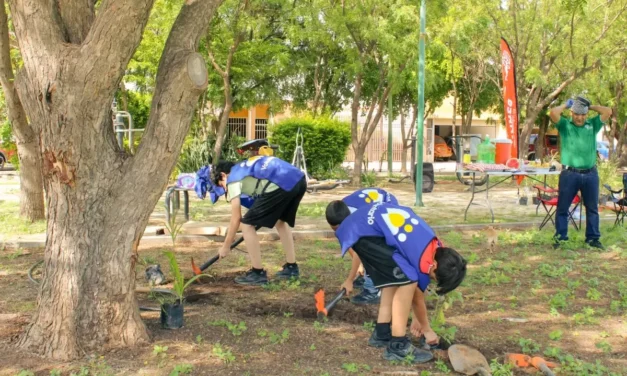 OCHO VOLUNTARIADOS CORPORATIVOS TRANSFORMAN PARQUES PÚBLICOS DE CULIACÁN