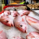 LA SECRETARÍA DE SALUD LLAMA A PREVENIR ENFERMEDADES TRANSMITIDAS POR ALIMENTOS DURANTE LA TEMPORADA DE CALOR