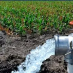 EL AGUA VOLVIÓ AL CAMPO; EL APOYO AL PRODUCTOR, NO: COUC