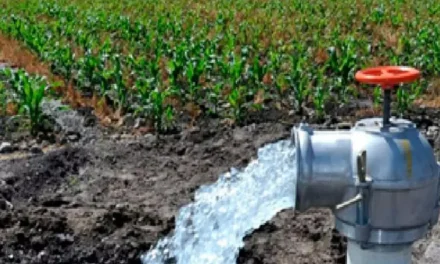 EL AGUA VOLVIÓ AL CAMPO; EL APOYO AL PRODUCTOR, NO: COUC