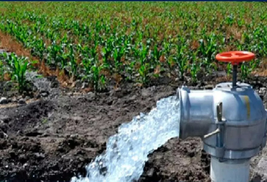 EL AGUA VOLVIÓ AL CAMPO; EL APOYO AL PRODUCTOR, NO: COUC