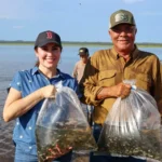 GOBIERNO DE SINALOA SIEMBRA 3.2 MILLONES DE ALEVINES EN PRESAS DE EL FUERTE