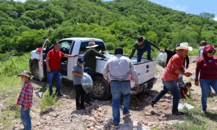 GOBIERNO DE SINALOA SIEMBRA 1.5 MILLONES DE ALEVINES DE TILAPIA EN LA PRESA EL SABINAL