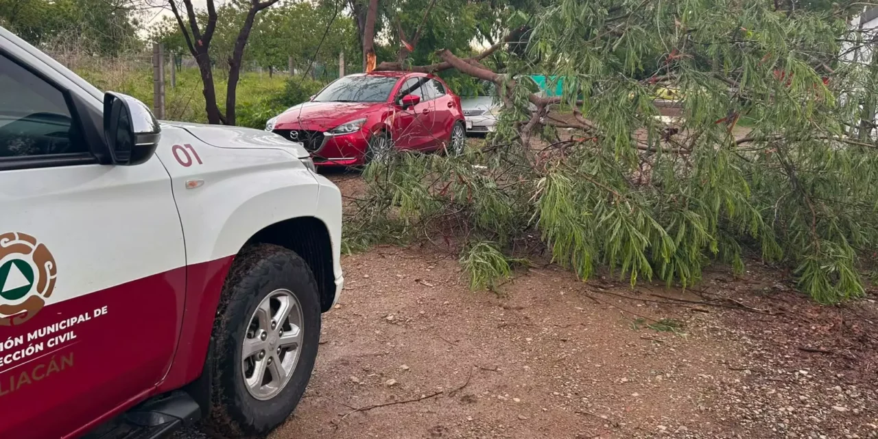 ATIENDE PROTECCIÓN CIVIL REPORTES POR LLUVIAS Y FUERTES VIENTOS EN CULIACÁN