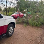 ATIENDE PROTECCIÓN CIVIL REPORTES POR LLUVIAS Y FUERTES VIENTOS EN CULIACÁN