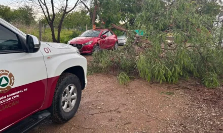 ATIENDE PROTECCIÓN CIVIL REPORTES POR LLUVIAS Y FUERTES VIENTOS EN CULIACÁN