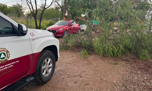 ATIENDE PROTECCIÓN CIVIL REPORTES POR LLUVIAS Y FUERTES VIENTOS EN CULIACÁN