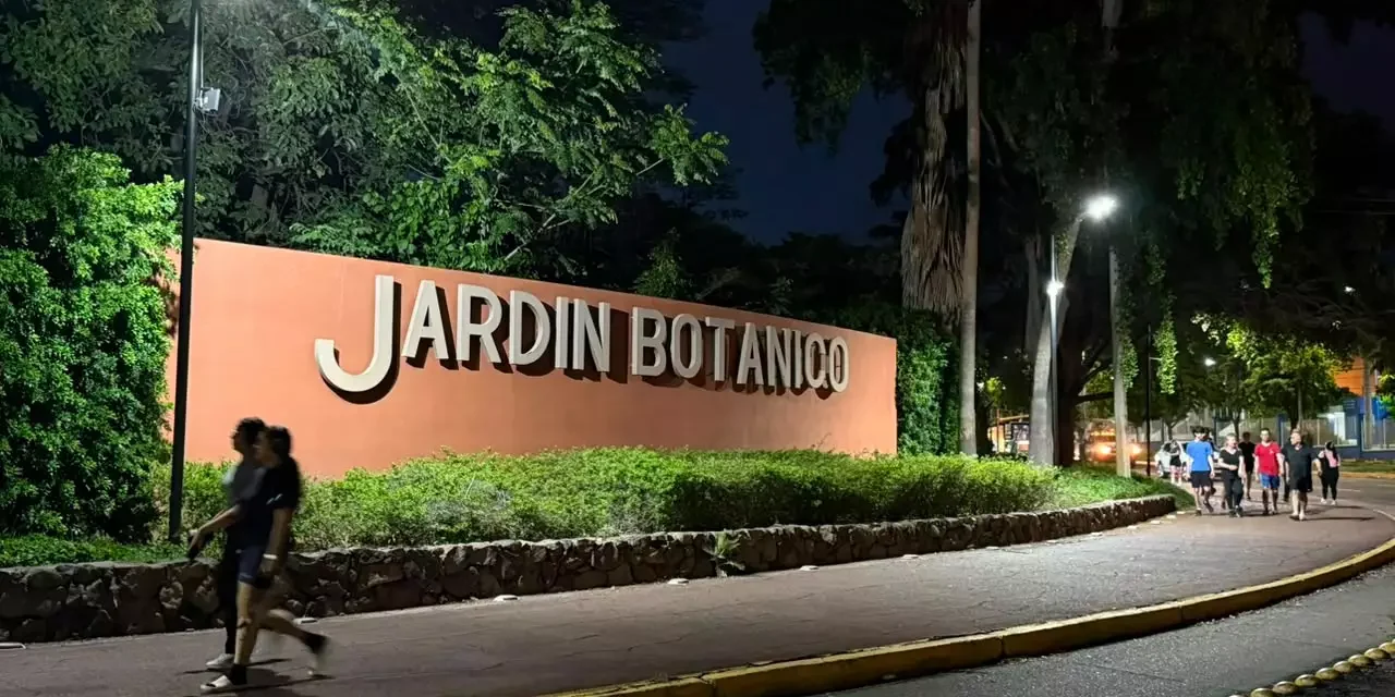 AYUNTAMIENTO DE CULIACÁN DA ATENCIÓN INMEDIATA A ALUMBRADO PÚBLICO EN EL SECTOR DEL JARDÍN BOTÁNICO