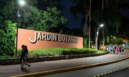 AYUNTAMIENTO DE CULIACÁN DA ATENCIÓN INMEDIATA A ALUMBRADO PÚBLICO EN EL SECTOR DEL JARDÍN BOTÁNICO