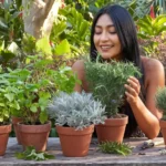 JARDÍN BOTÁNICO CULIACÁN INVITA A DISFRUTAR UNA AGENDA LLENA DE NATURALEZA, CULTURA Y EXPERIENCIAS EN AGOSTO