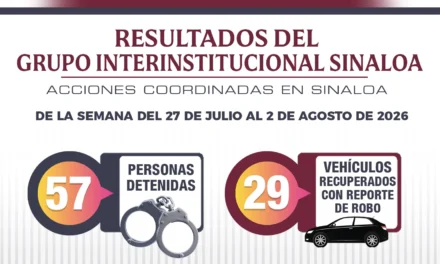 UN TOTAL DE 29 VEHÍCULOS ROBADOS FUERON RECUPERADOS