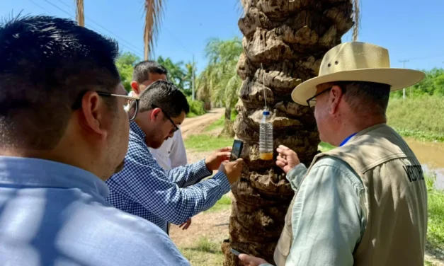 SALUD SINALOA REFUERZA TRABAJO DE CAMPO PARA PREVENIR RIESGOS ASOCIADOS AL GUSANO BARRENADOR