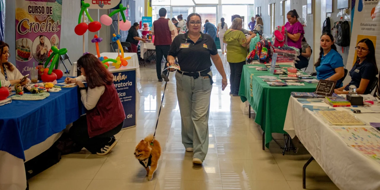 LLEVAN A CABO FERIA DE REGRESO A CLASES PROFECO 2026 CON DESCUENTOS Y SERVICIOS GRATUITOS