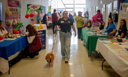 LLEVAN A CABO FERIA DE REGRESO A CLASES PROFECO 2026 CON DESCUENTOS Y SERVICIOS GRATUITOS