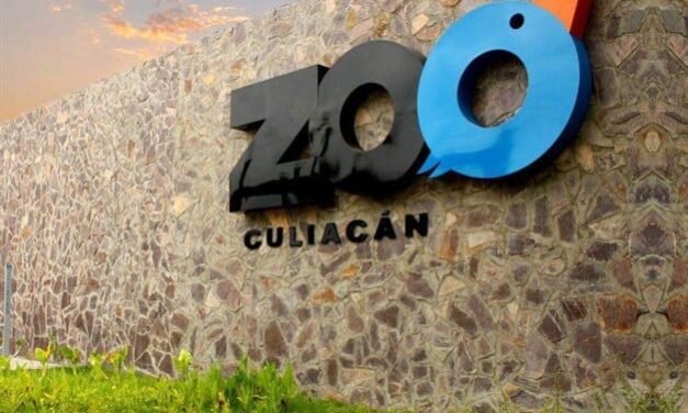 TARJETA INFORMATIVA ZOOLÓGICO DE CULIACÁN