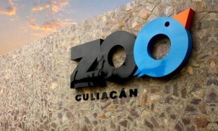 TARJETA INFORMATIVA ZOOLÓGICO DE CULIACÁN
