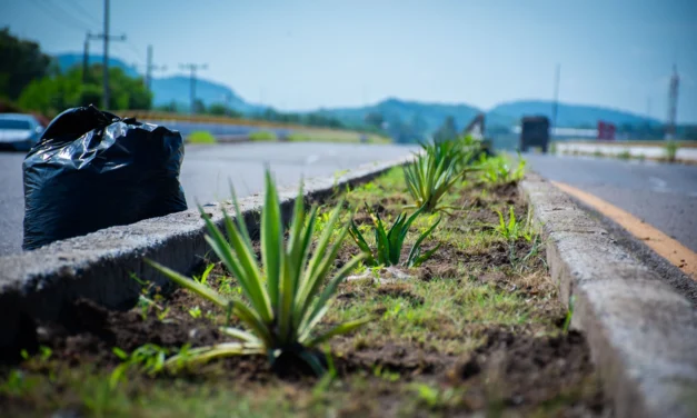 IMPULSAN UN PAISAJE URBANO MÁS SUSTENTABLE EN LA ENTRADA SUR DE CULIACÁN