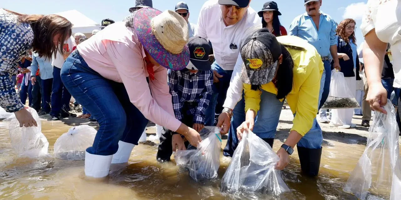 HAREMOS LAS GESTIONES NECESARIAS PARA QUE LA PESCA DE SINALOA TENGA MAYORES APOYOS, ANUNCIA GOBERNADORA GRACIELA DOMÍNGUEZ