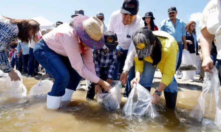 HAREMOS LAS GESTIONES NECESARIAS PARA QUE LA PESCA DE SINALOA TENGA MAYORES APOYOS, ANUNCIA GOBERNADORA GRACIELA DOMÍNGUEZ