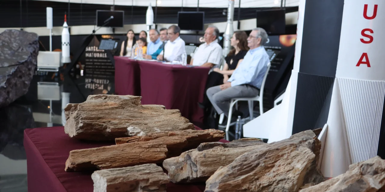 INVESTIGADORES DONAN FÓSILES VEGETALES PARA SU CUSTODIA Y EXHIBICIÓN A CONFÍE