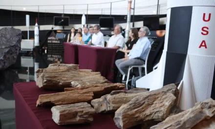 INVESTIGADORES DONAN FÓSILES VEGETALES PARA SU CUSTODIA Y EXHIBICIÓN A CONFÍE