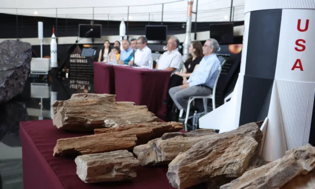 INVESTIGADORES DONAN FÓSILES VEGETALES PARA SU CUSTODIA Y EXHIBICIÓN A CONFÍE