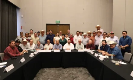 LIDERAZGOS AGRÍCOLAS AGRADECEN EL APOYO DE LA PRESIDENTA CLAUDIA SHEINBAUM, Y REITERAN SU DISPOSICIÓN PARA CONSTRUIR ACUERDOS