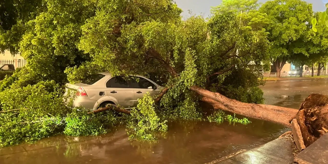 ELEMENTOS DE LA PEP SE DESPLEGARON Y BRINDARON DIVERSOS APOYOS, TRAS LAS LLUVIAS EN CULIACÁN