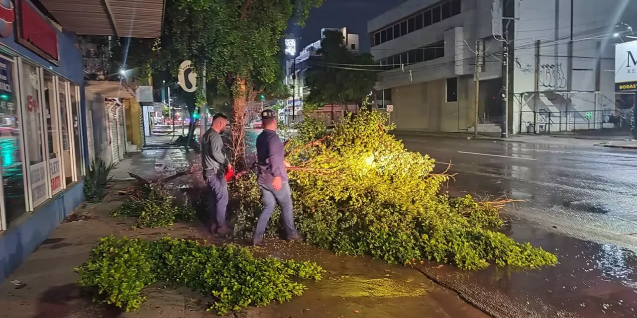 AYUNTAMIENTO ATIENDE AFECTACIONES POR LLUVIAS Y FUERTES VIENTOS EN CULIACÁN