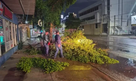 AYUNTAMIENTO ATIENDE AFECTACIONES POR LLUVIAS Y FUERTES VIENTOS EN CULIACÁN