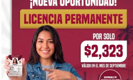 ¡LA LICENCIA PERMANENTE ESTÁ DE REGRESO!