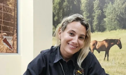 EL COMITÉ ESTATAL DE FOMENTO Y PROTECCIÓN PECUARIA DE SINALOA, REFUERZA PREVENCIÓN DEL GUSANO BARRENADOR EN EQUINOS