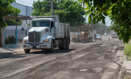 AVANZA REENCARPETADO EN LA COLONIA EL PALMITO; PREPARAN MÁS DE 500 METROS DE VIALIDAD