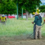 AVANZA OPERATIVO AMPLIO DE CORTE DE PASTO Y MANTENIMIENTO DE CAMELLONES EN DISTINTOS CORREDORES DE LA CIUDAD