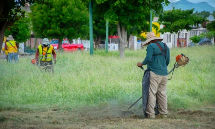 AVANZA OPERATIVO AMPLIO DE CORTE DE PASTO Y MANTENIMIENTO DE CAMELLONES EN DISTINTOS CORREDORES DE LA CIUDAD