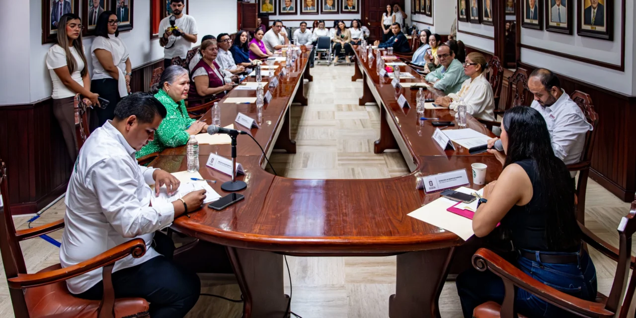 CONFORMA AYUNTAMIENTO DE CULIACÁN COMITÉ MUNICIPAL DE SALUD MENTAL Y ADICCIONES