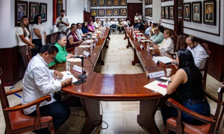 CONFORMA AYUNTAMIENTO DE CULIACÁN COMITÉ MUNICIPAL DE SALUD MENTAL Y ADICCIONES