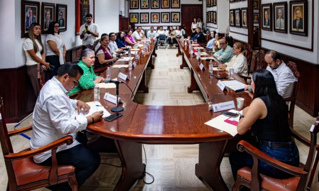 CONFORMA AYUNTAMIENTO DE CULIACÁN COMITÉ MUNICIPAL DE SALUD MENTAL Y ADICCIONES