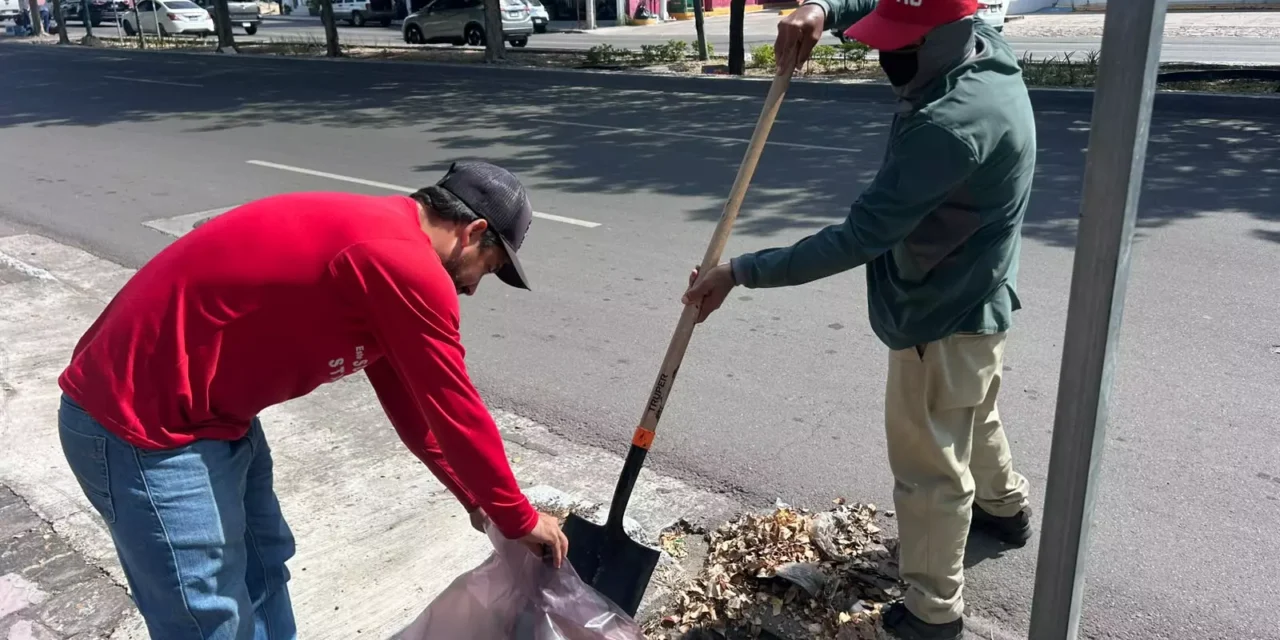 REALIZA AYUNTAMIENTO TRABAJOS DE BACHEO Y MANTENIMIENTO VIAL