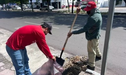 REALIZA AYUNTAMIENTO TRABAJOS DE BACHEO Y MANTENIMIENTO VIAL