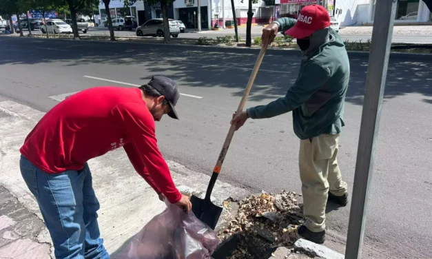 REALIZA AYUNTAMIENTO TRABAJOS DE BACHEO Y MANTENIMIENTO VIAL