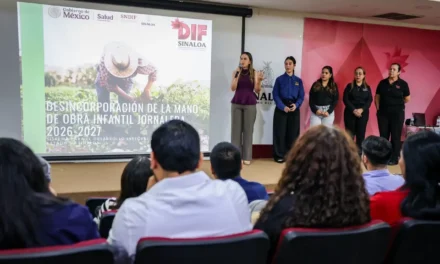 CAPACITA DIF SINALOA A TRABAJADORAS SOCIALES DE CAMPOS AGRÍCOLAS PARA PROTEGER A NIÑAS Y NIÑOS DE FAMILIAS JORNALERAS