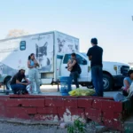 INVITAN A CAMPAÑA GRATUITA DE ESTERILIZACIÓN PARA PERROS CRIOLLOS Y GATOS EN CULIACÁN