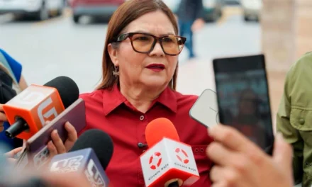 “EL MOVIMIENTO DE LA 4T TRABAJA TODOS LOS DÍAS PARA CONSOLIDAR EL CAMINO DE LA TRANSFORMACIÓN”: IMELDA CASTRO