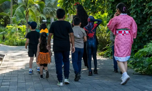 JARDÍN BOTÁNICO CULIACÁN INVITA A SUS RECORRIDOS NOCTURNOS DE HALLOWEEN