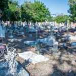 REGISTRA AYUNTAMIENTO DE CULIACÁN 80 POR CIENTO DE AVANCE EN LA LIMPIEZA Y EL MANTENIMIENTO DE PANTEONES MUNICIPALES